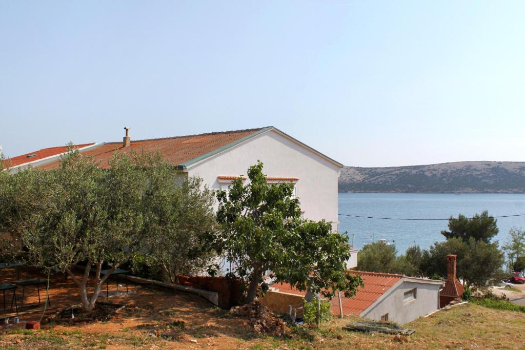 Studio Stara Novalja 6319d