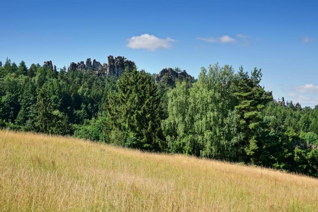 Příroda nedaleko apartmánu