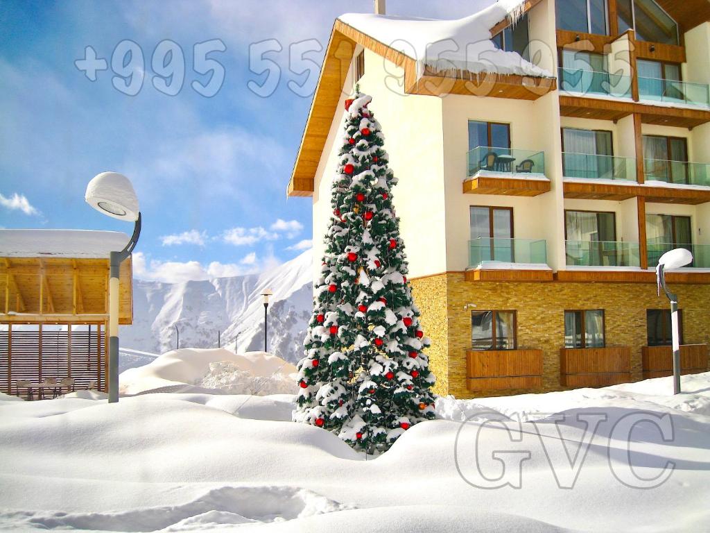 New Gudauri Atrium 139 v zimě