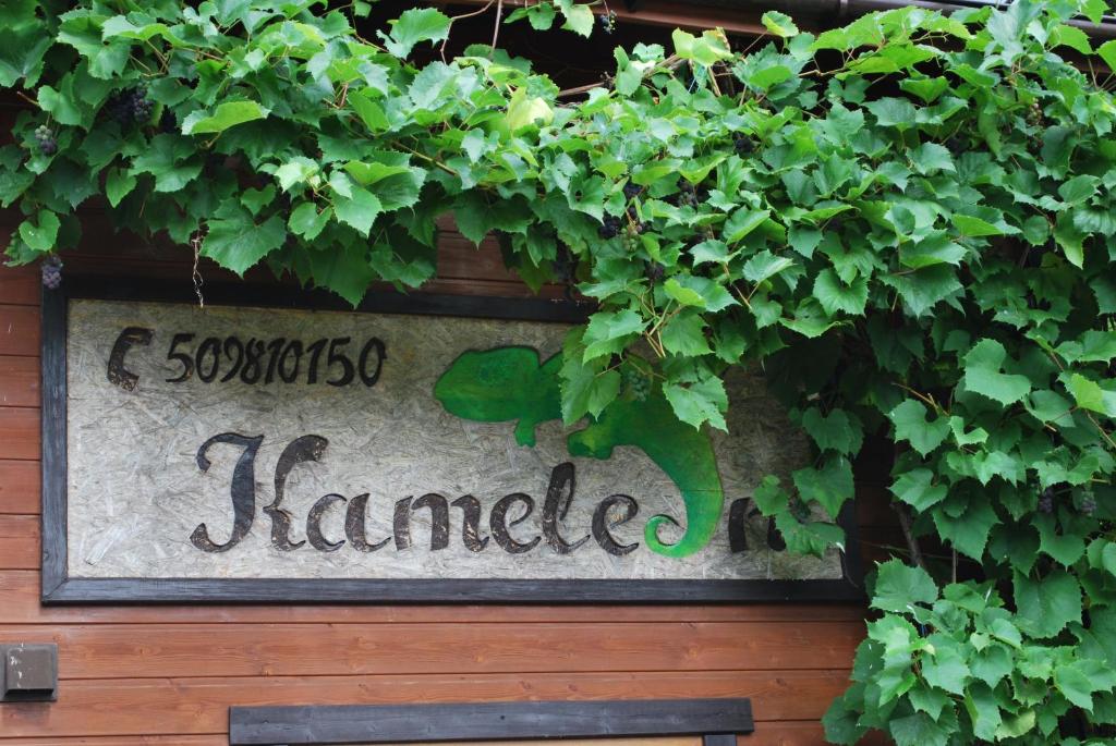 una señal en el lateral de un edificio con plantas verdes en Kameleon Dźwirzyno, en Dźwirzyno