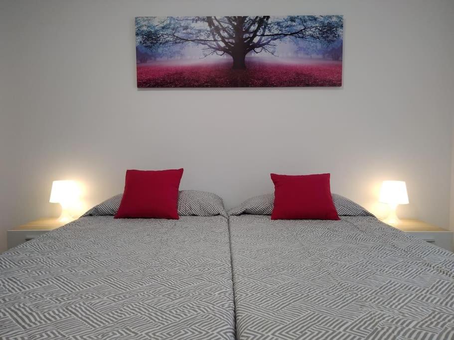 een slaapkamer met een bed met 2 rode kussens bij Ven y desconecta!! in Viana