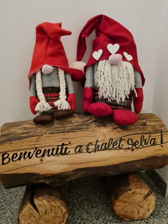 Fotografie z fotogalerie ubytování Chalet Selva ve Valdidentru