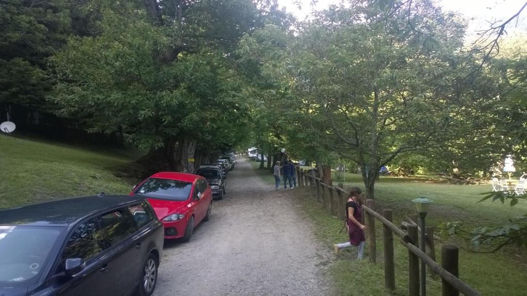 Příroda nedaleko kempu