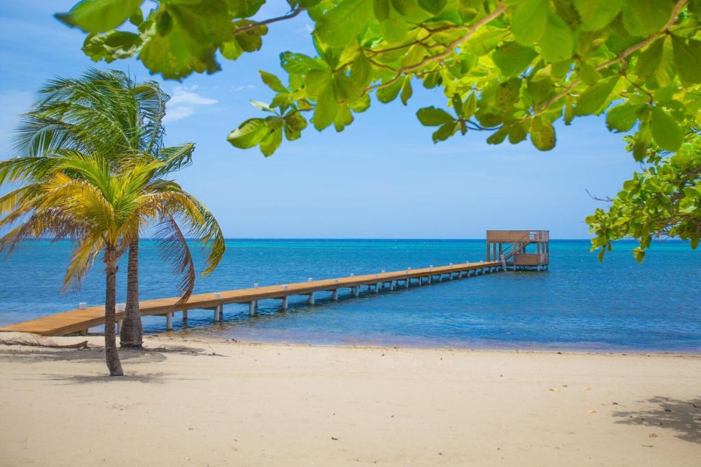 a pier on the beach with a palm tree at Lawson Rock - Yellowfish 211 condo in Roatán