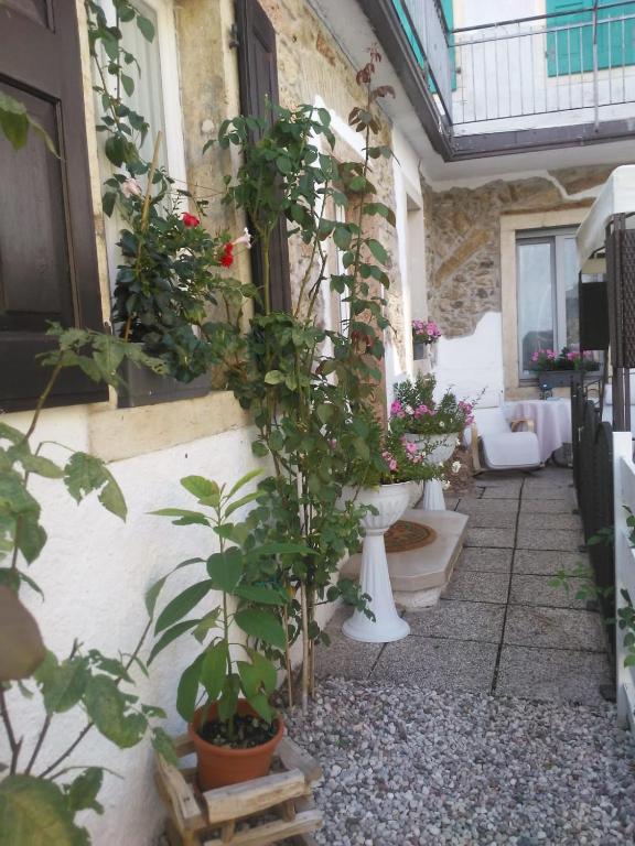 Zahrada ubytování Casa Cris
