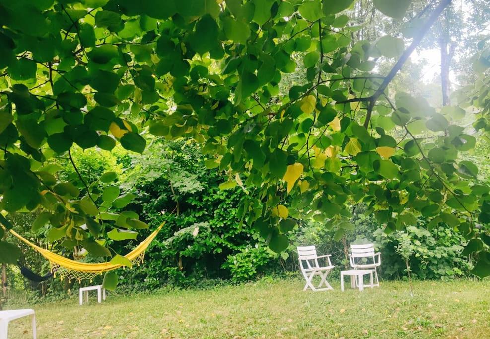 2 chaises et un hamac sous un arbre dans l'établissement Gîte et jardin en bord de rivière, à Saumane