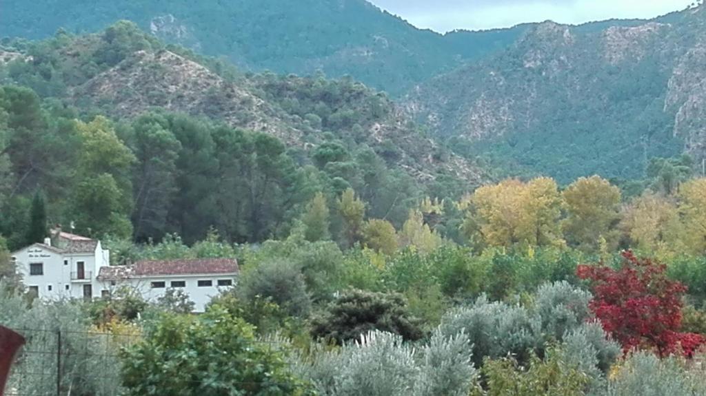 Φυσικό τοπίο κοντά σε αυτή η παραθεριστική κατοικία