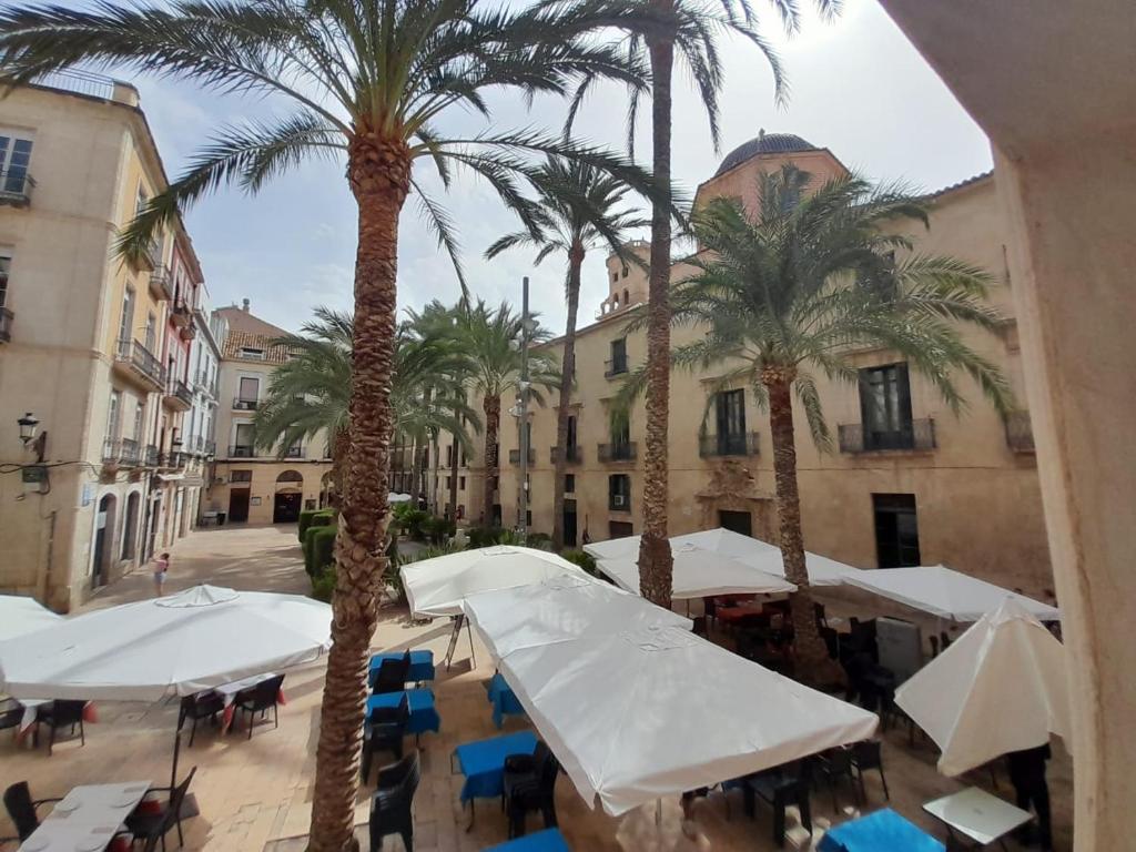 Apartment Plaza Ayuntamiento GAM, Alicante, Spain - Booking.com
