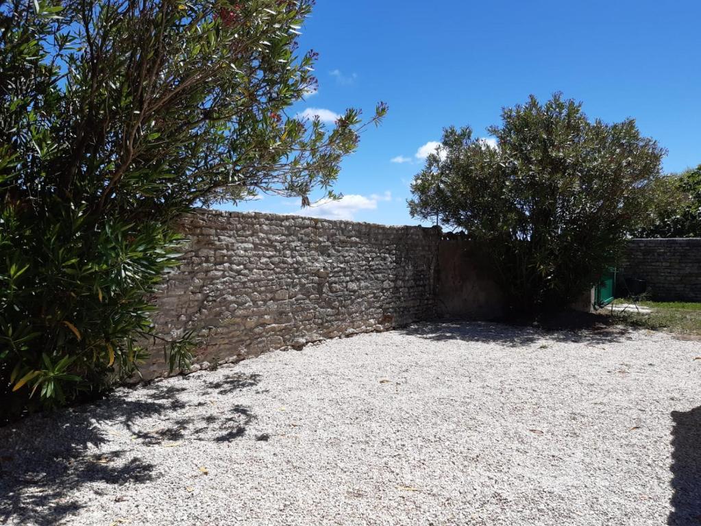 a brick wall with two trees next to it at Charmante maison de plain pied avec 700m2 de jardin cloturé in Saint-Clément-des-Baleines