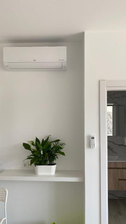 Camiño da Praia - 10