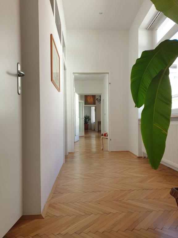 Fotografie z fotogalerie ubytování Sunny and spacious apartment near city centre ve Vídni