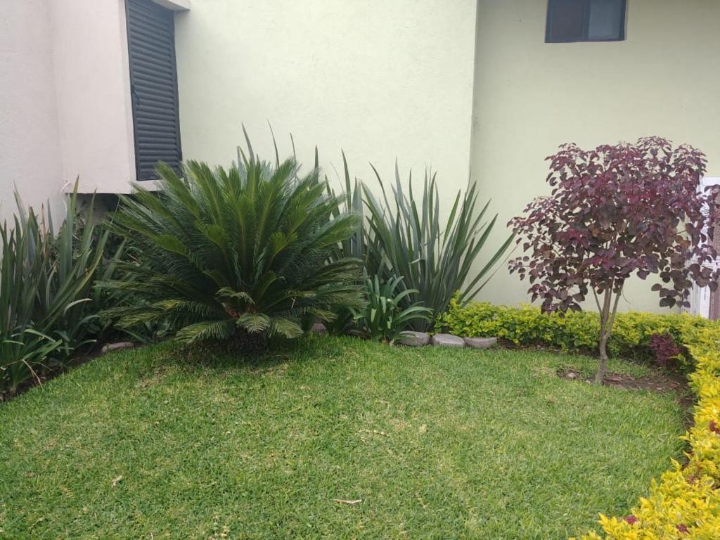 Zahrada ubytování Estancia Santa Fe