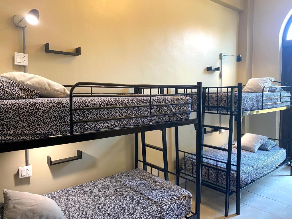 a room with three bunk beds in a room at Magnolia Inn in Panama City