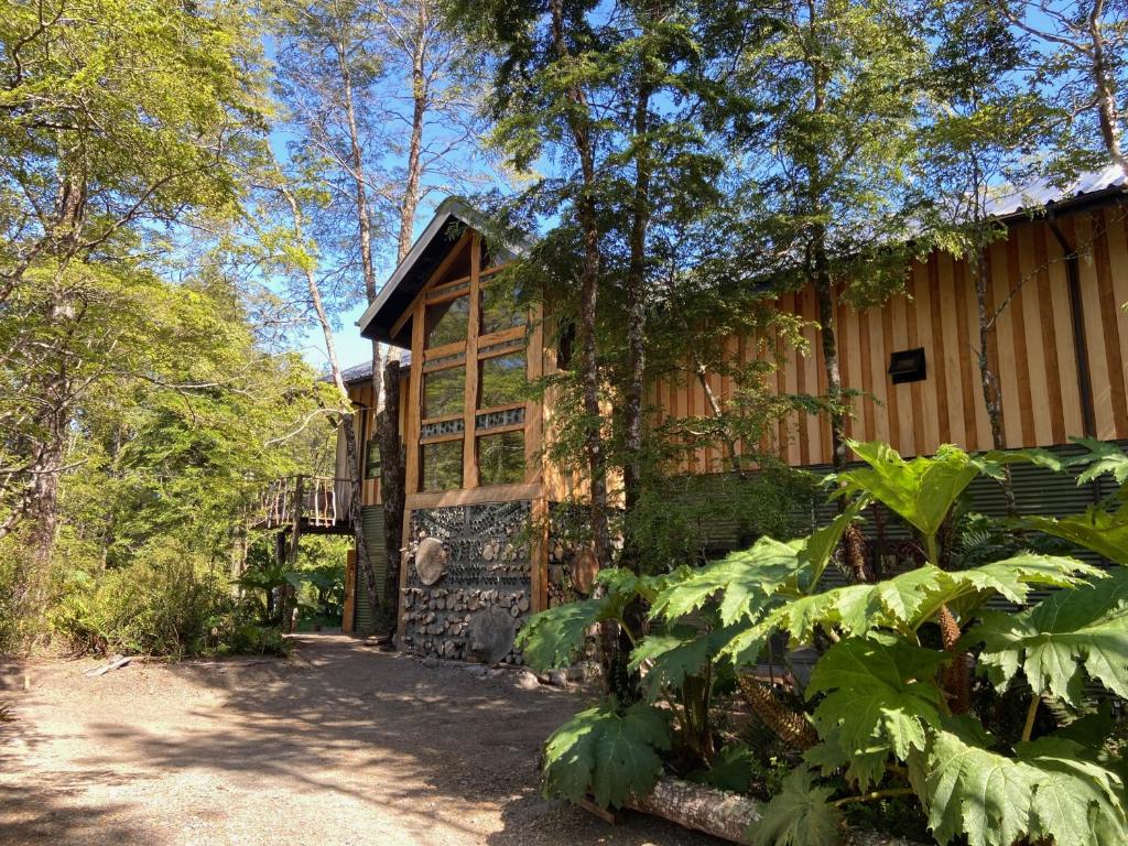 una cabaña en el bosque con un camino que conduce a ella en La Colmena eco lodge, en La Ensenada