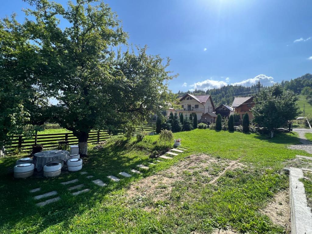 Raspberry Villa - Bucovina - Poiana Micului