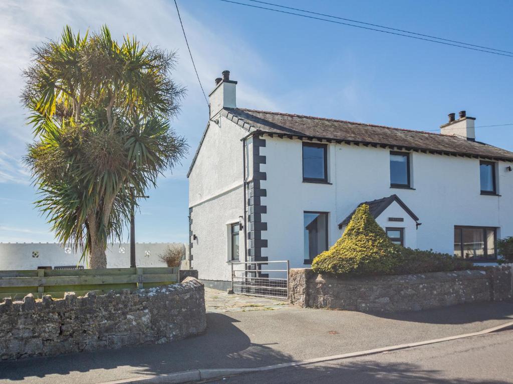a white house with a palm tree in front of it at Tyn Y Berth in Moelfre