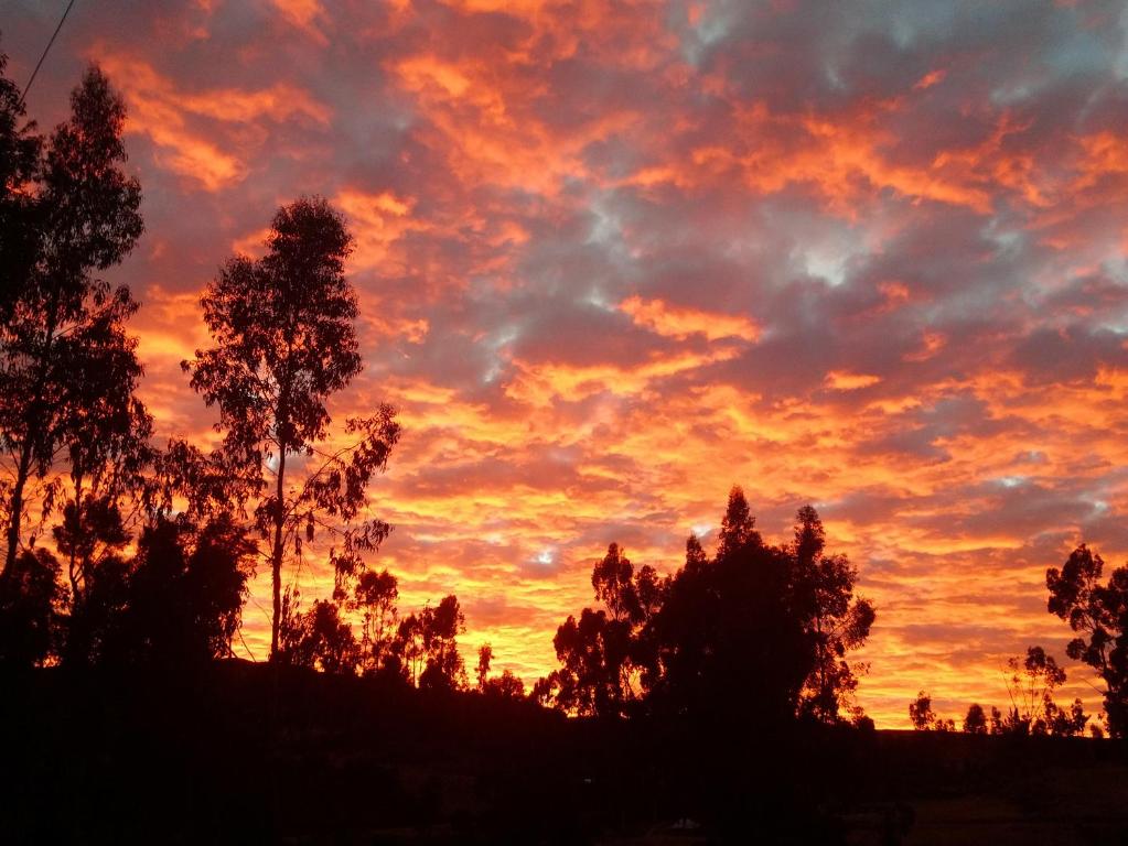 an orange sunset with trees in the foreground at Maychu's Albergue in Chincheros