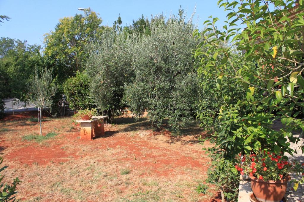 Vonkajšia záhrada v ubytovaní Apartment Umag 6992a