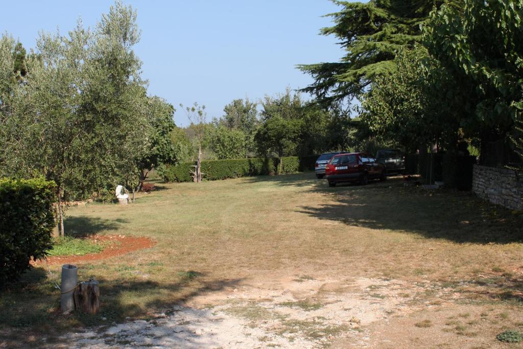 Příroda nedaleko apartmánu