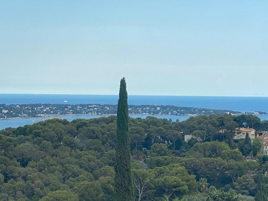 Majoituspaikan Splendid villa near Antibes and Cannes with pool and sea view kuva ylh&auml;&auml;lt&auml; p&auml;in