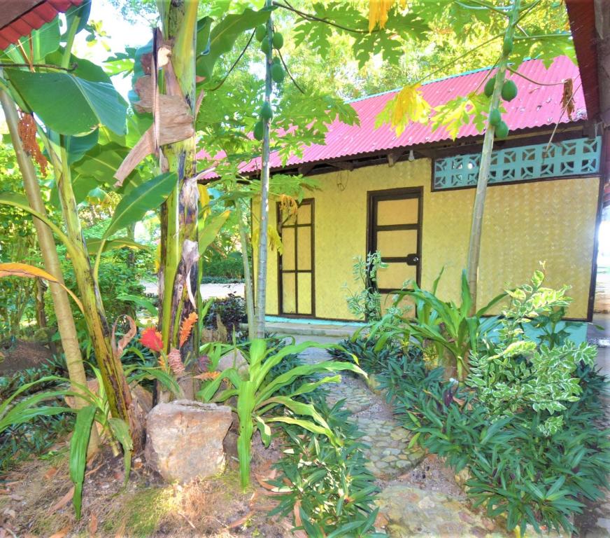 Zahrada ubytování Concepcion Divers Lodge
