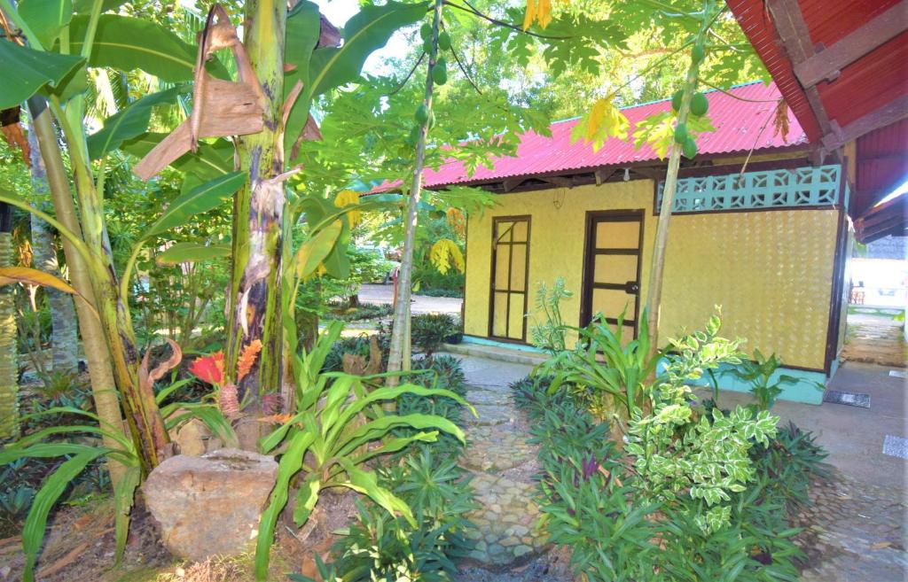 Zahrada ubytování Concepcion Divers Lodge