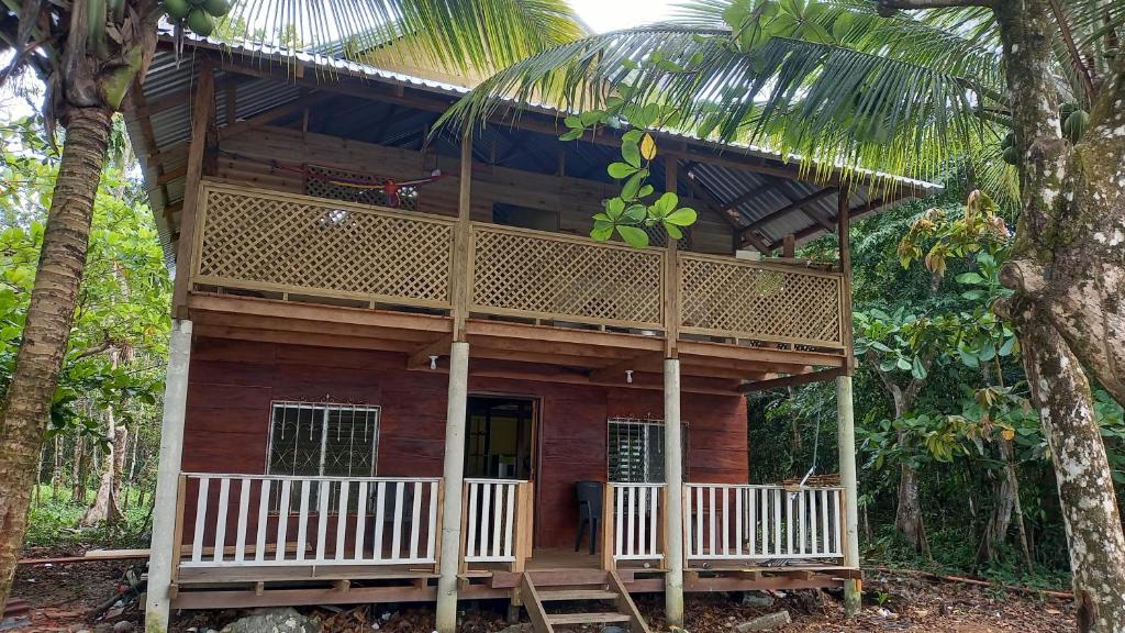 a wooden house in the middle of a forest at Casa Manatí in Lívingston