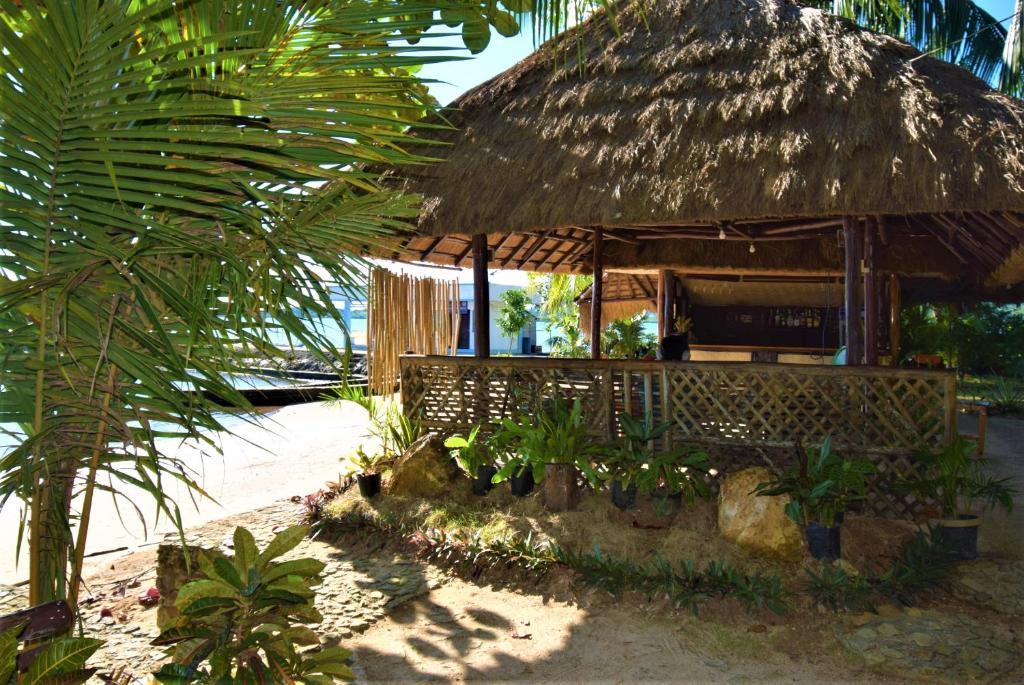 Zahrada ubytování Concepcion Divers Lodge