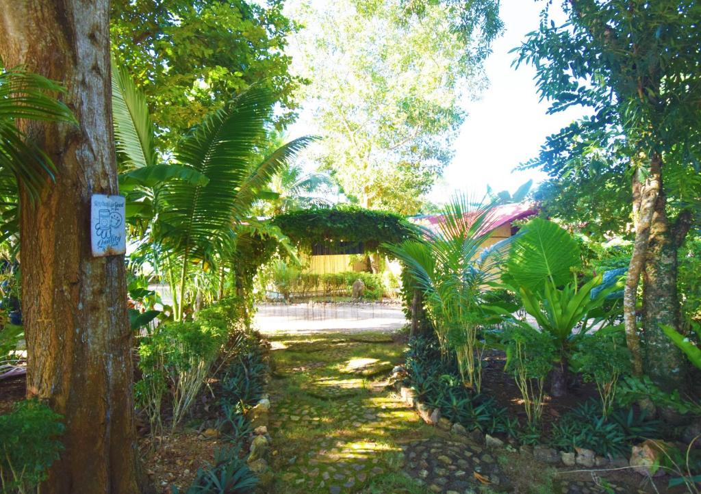 Zahrada ubytování Concepcion Divers Lodge