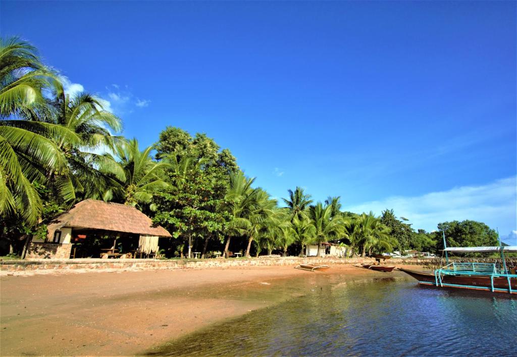 un barco a orillas de una playa con palmeras en Concepcion Divers Lodge en Busuanga