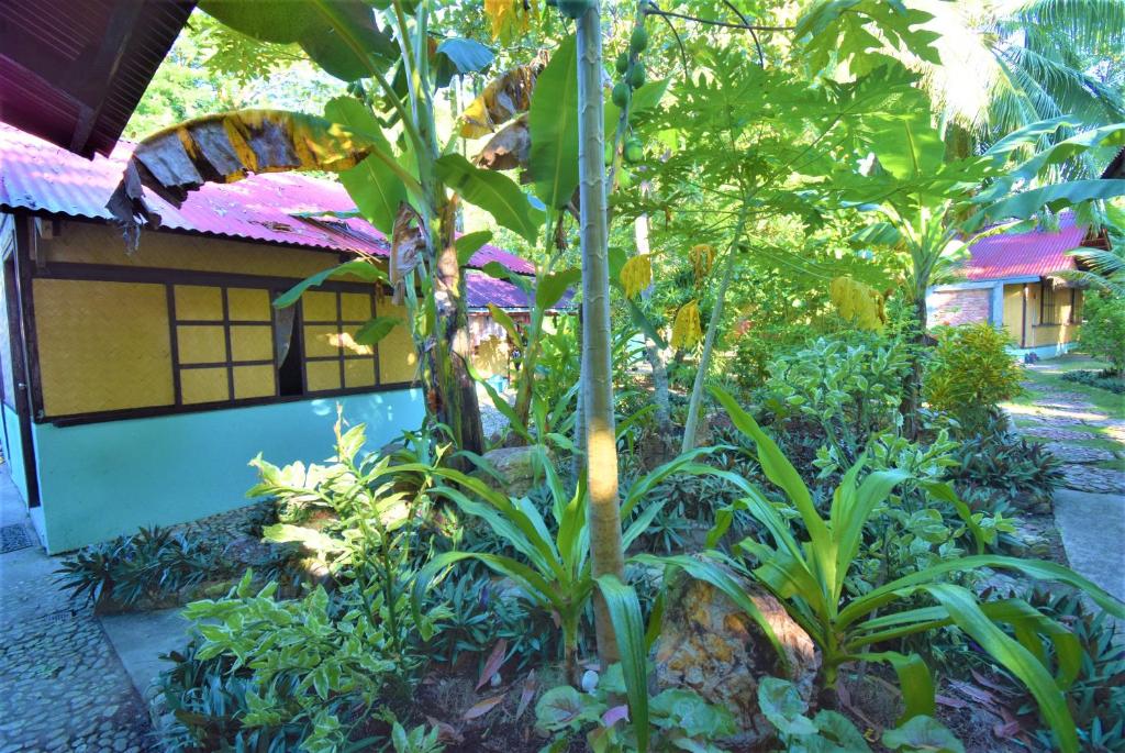 Zahrada ubytování Concepcion Divers Lodge