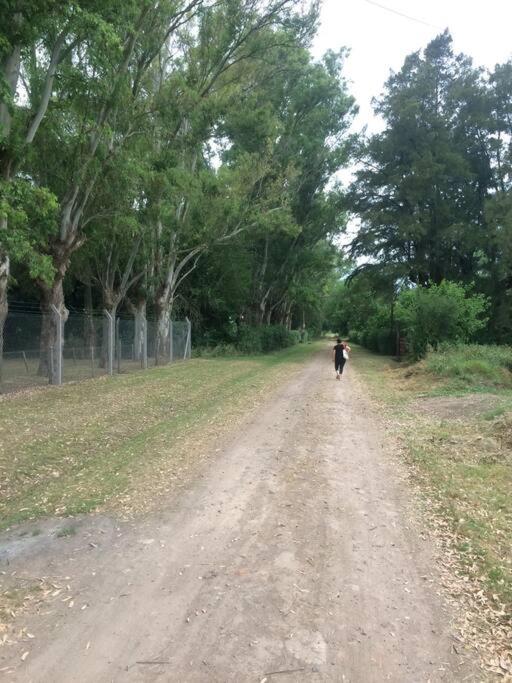 Quinta - Casa de Campo