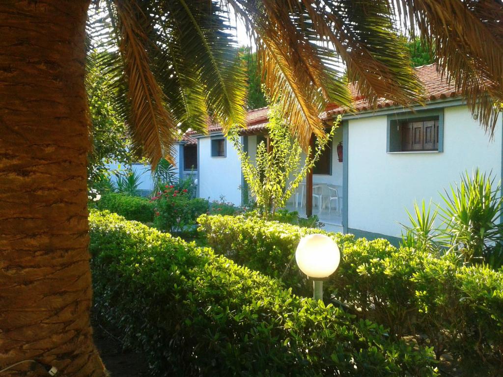 Gallery image of Vicky Studios and Apartments in Skala Kallonis
