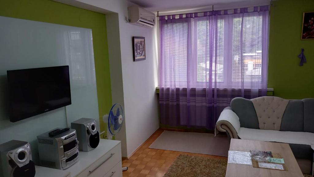 Apartman centar lux - 一居室公寓