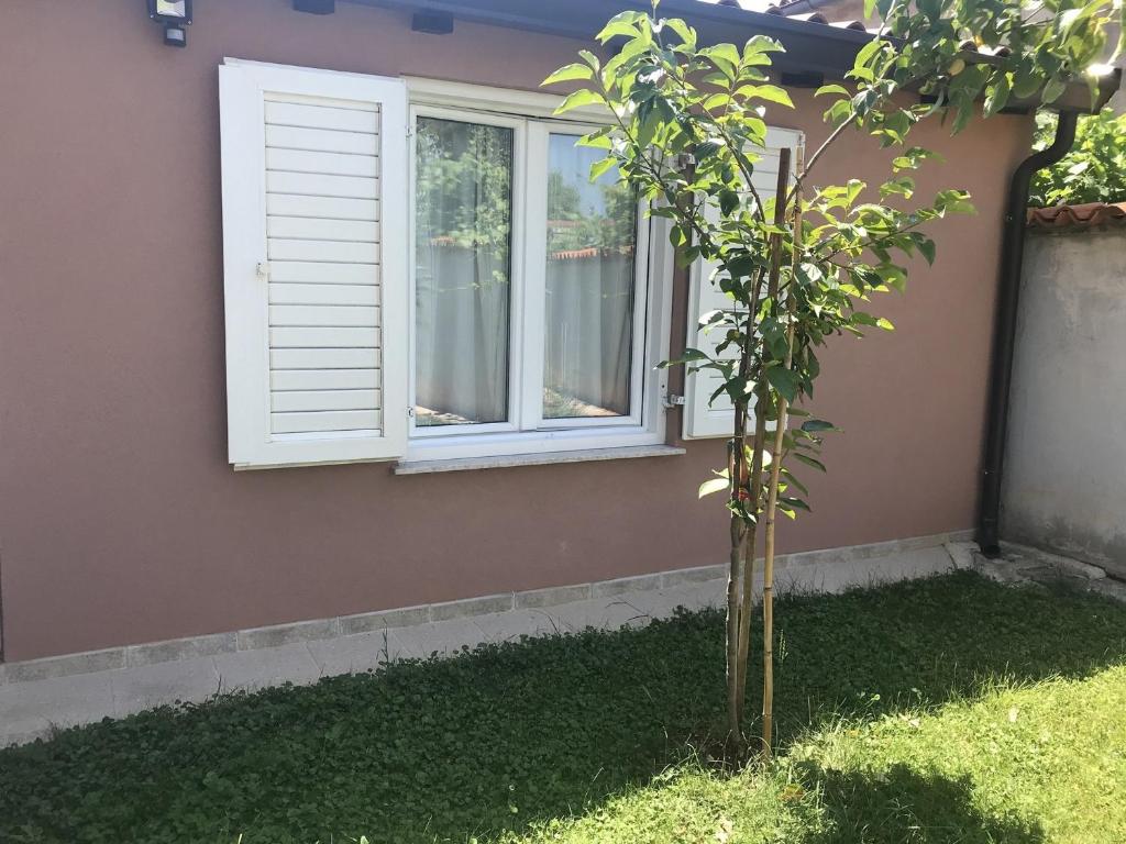 Vonkajšia záhrada v ubytovaní Studio Umag 7126a