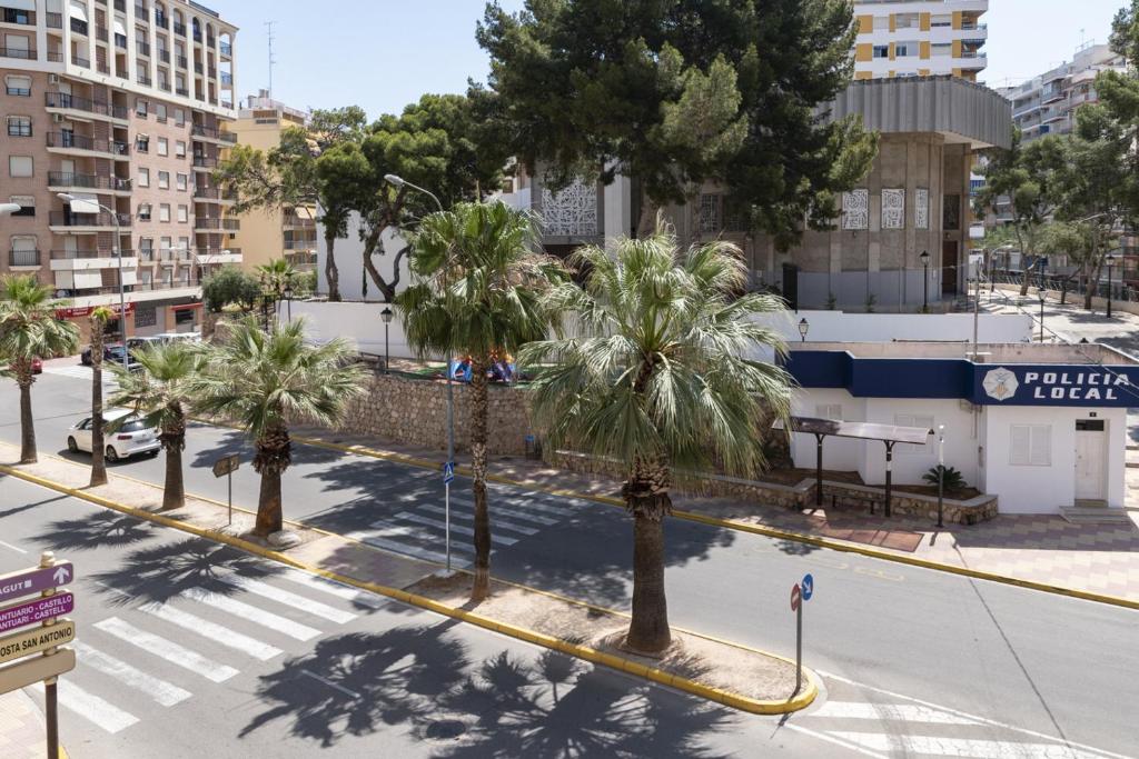 une rue vide avec des palmiers dans une ville dans l'établissement Estirpe, 2º-3, à Cullera