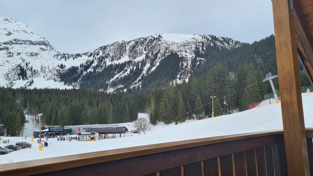 Príroda v okolí apartmánu
