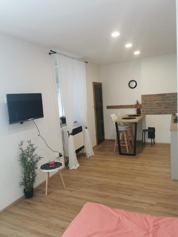 TV a/nebo společenská místnost v ubytování Apartmán Bart's