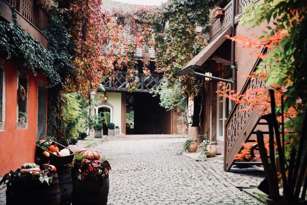 um beco vazio com plantas ao lado de um edifício em Pêche de Vigne & Spa em Rodern