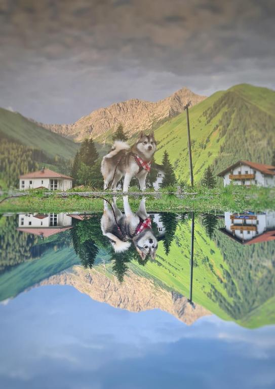 Príroda v okolí apartmánu