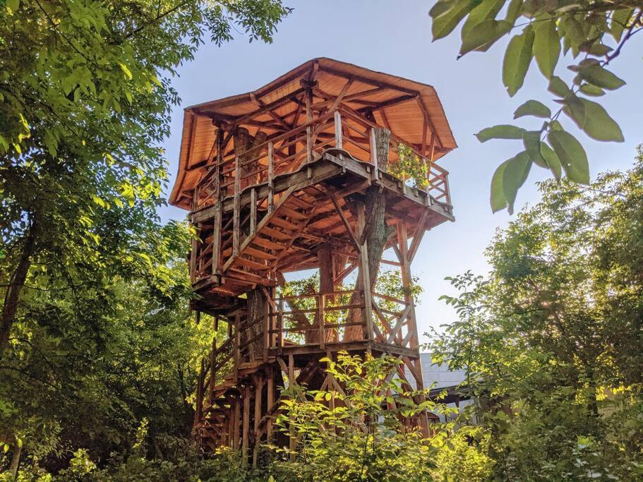 a tree house in the middle of some trees at Jungle Wagon - Ecovillage Hainburg in Hainburg an der Donau