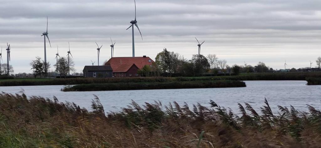 a group of windmills in the background with a house and a river at Galeriehaus "Bootsmann" 