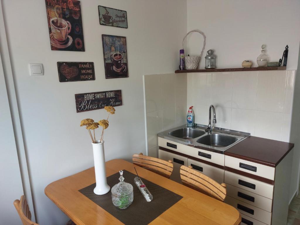 Kuchyň nebo kuchyňský kout v ubytování Apartman Centar