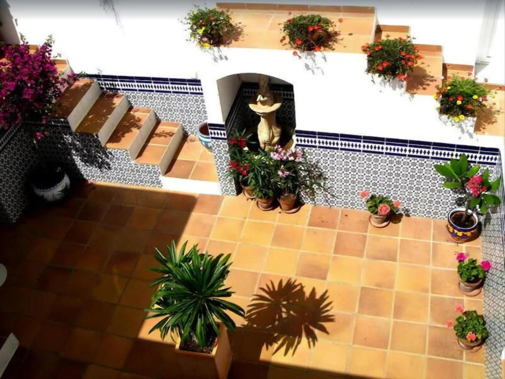 Ogród w obiekcie Casa el Olivo