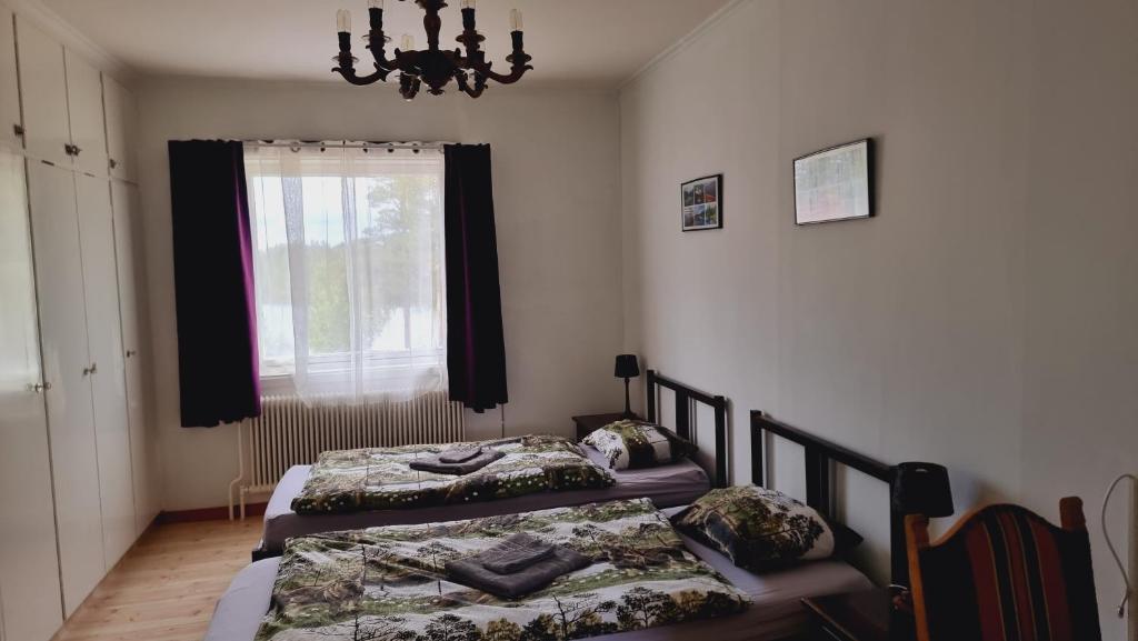 two beds in a bedroom with a window at Elch Zimmer Wilderness Life in Arvidsjaur