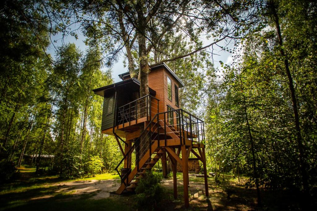 Domek na drzewie - Na Łośmiu Metrach في Grudki: منزل شجرة في وسط غابة