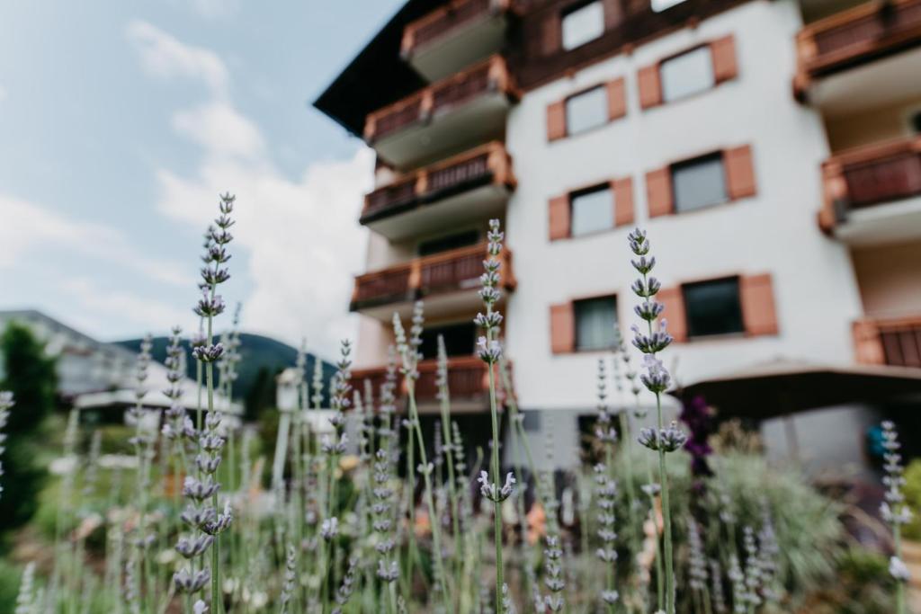 Budova, v ktorej sa hotel nachádza