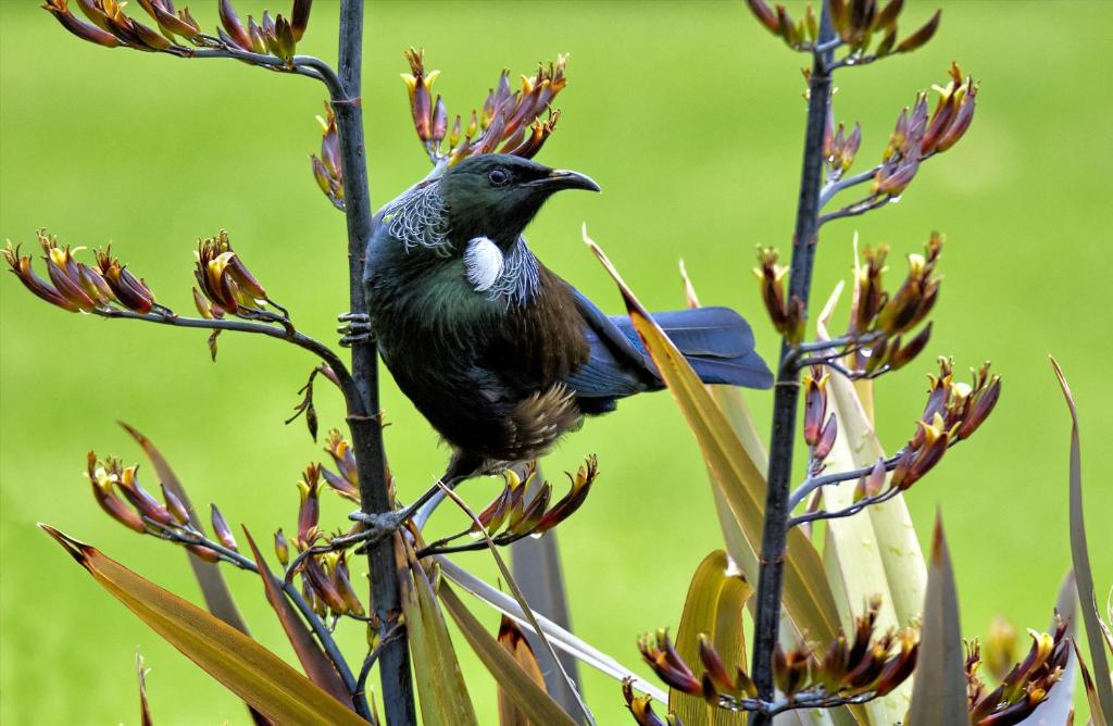 Taupo Debretts Spa Resort - Resim 23