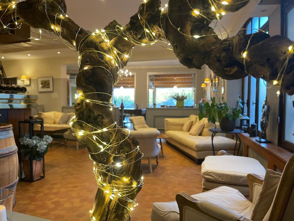 un salon avec un arbre de Noël et des lumières dans l'établissement Hotel Berneron, à Vallon-Pont-dʼArc