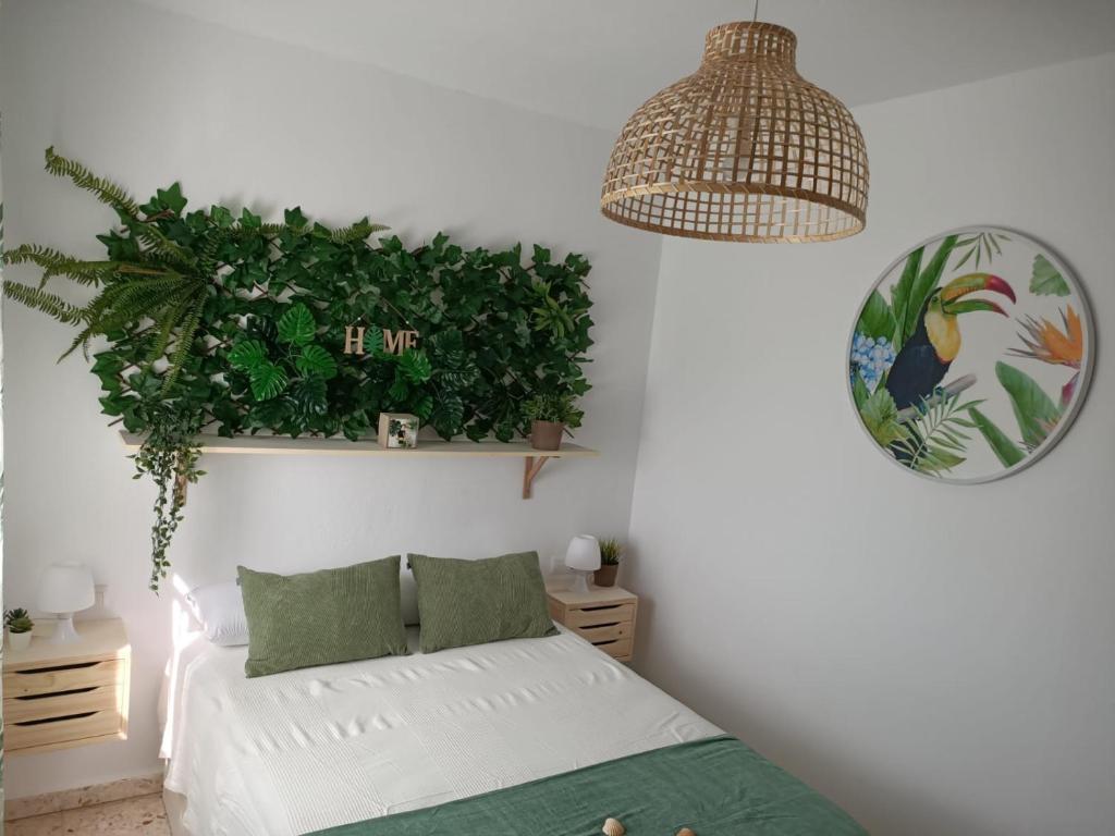1 dormitorio con 1 cama y una planta en un estante en Casa vistas al mar, en El Palmar